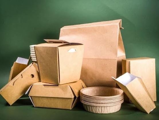 Un assortiment d’emballages alimentaires écologiques en carton kraft boîtes, sacs, gobelets et bols est présenté sur fond vert, illustrant des solutions de conditionnement durables pour la restauration.