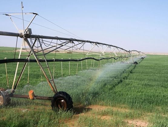 Système d’irrigation pivot arrosant un vaste champ cultivé.