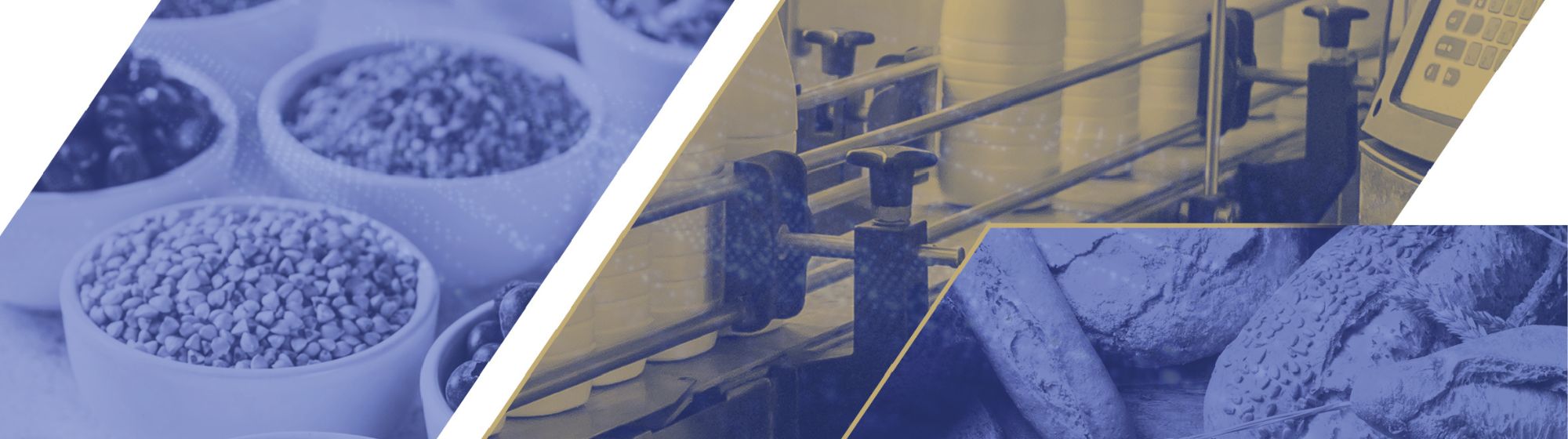 L'industrie agroalimentaire à Djazagro