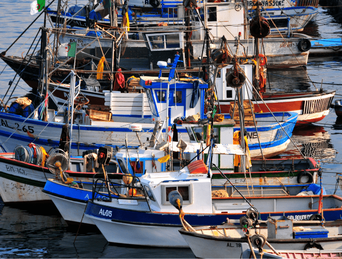 aquaculture et pêche 