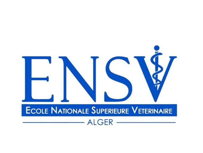 Ensv Riided L'espace formations de Djazagro