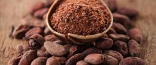 Poudre de cacao dans une cuillère en bois sur un lit de fèves de cacao.