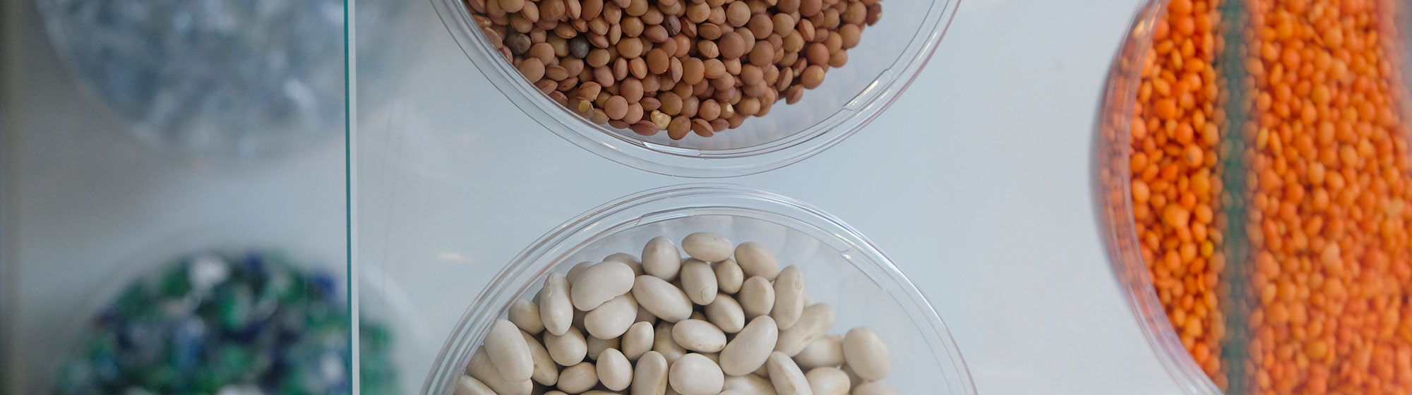 Bowls of lentils and beans