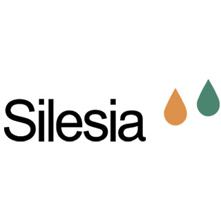 Logo Silesia